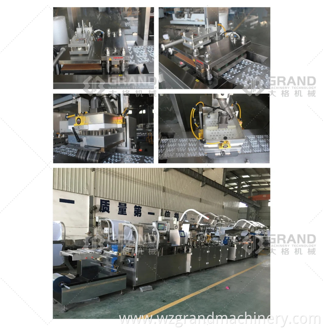 Fully Automatic Liquid Olive Oil Jam Sauce Ketchup Honey Butter Cheese Paste Cream Marmalade Blister Packing Packaging Machine Dpp-260